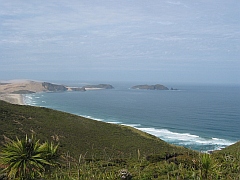 Neuseeland - Cape Maria van Diemen
