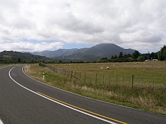 Neuseeland - Potaka - East Cape