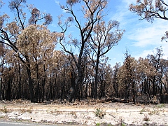 Australia - South Gippsland Highway