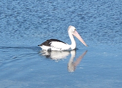 Australien - Burrill Lake