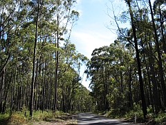 Australia - Cape Conran