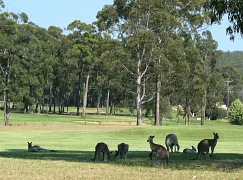 Australia - Eden