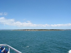 Australien - Phillip Island