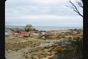 Binalong Bay