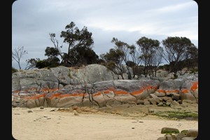 Binalong Bay