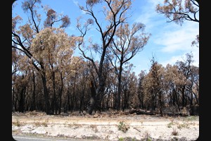 South Gippsland Highway