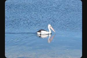 Burrill Lake