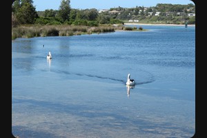 Burrill Lake