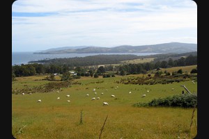 Between Verona Sands and Cygnet