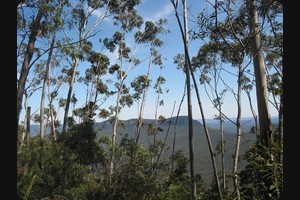 Blue Mountains Katoomba