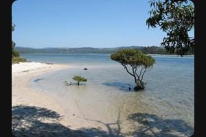 Merimbula Lake