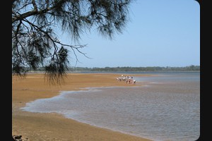 Moruya River