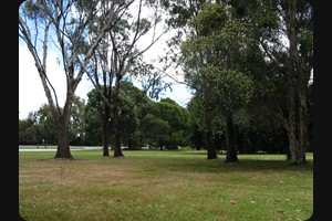 Rest area near Toora