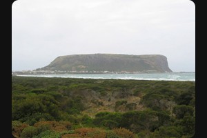 Stanley's Nut Rock