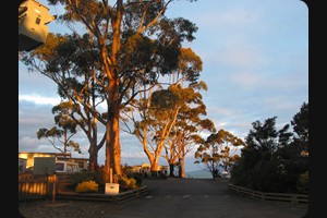 Swansea, Tasmania