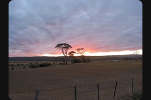 Swansea, Tasmania