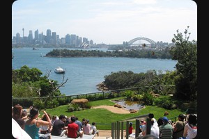 Taronga Zoo Birdshow