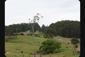 Tathra - Bermagui