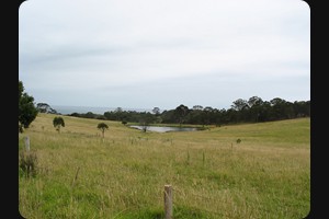 Tathra - Bermagui