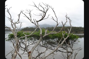 Wallaga Lake