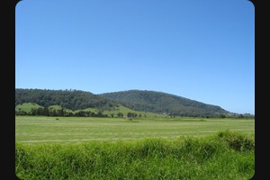 Bolong Coolangatta