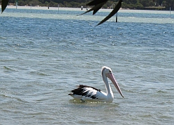 Australien - Merimbula Lake