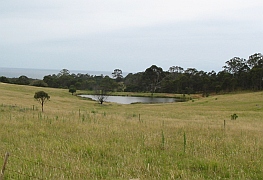 Australien - Tathra - Bermagui