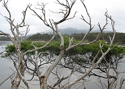 Australien - Wallaga Lake - Mt. Dromedary