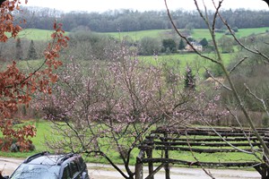 Frühling im März