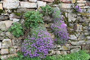 Collonges-la-Rouge, Dordogne