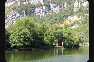 Alluvial forest at the Doubs