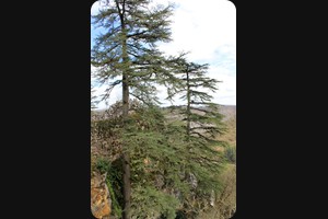 Rocamadour