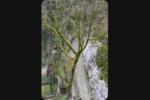 Chemin de Croix, Rocamadour