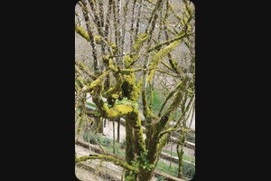 Chemin de Croix, Rocamadour