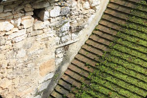 Swarm of bees, Rocamadour