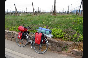 Bike tour Alsace