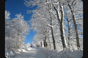 Montagne Du Larmont, Pontarlier, Jura