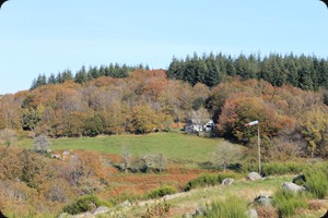 Rochers Du Carnaval, Uchon