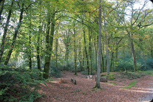 Bibracte, Morvan