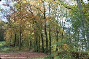 Bibracte, Morvan