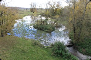 Loire wetlands, Digoin