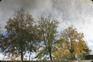 Canal Lateral a la Loire, Digoin