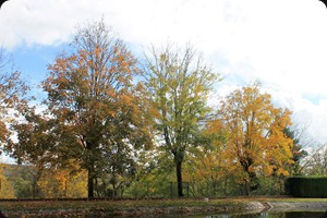 Canal Lateral a la Loire, Digoin