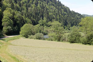 Doubs-Tal bei Bremoncourt