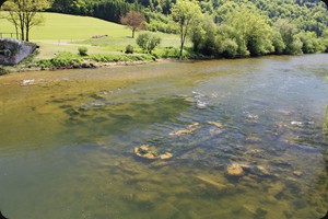 Doubs at Bremoncourt