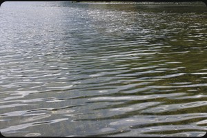 Lago Misurina