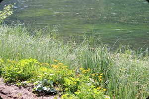 Lago Misurina