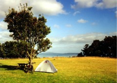 New Zealand - Beachlands Camping