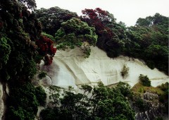 Neuseeland - Cathedral Cove