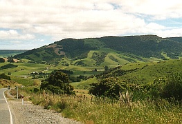 Neuseeland - Catlins